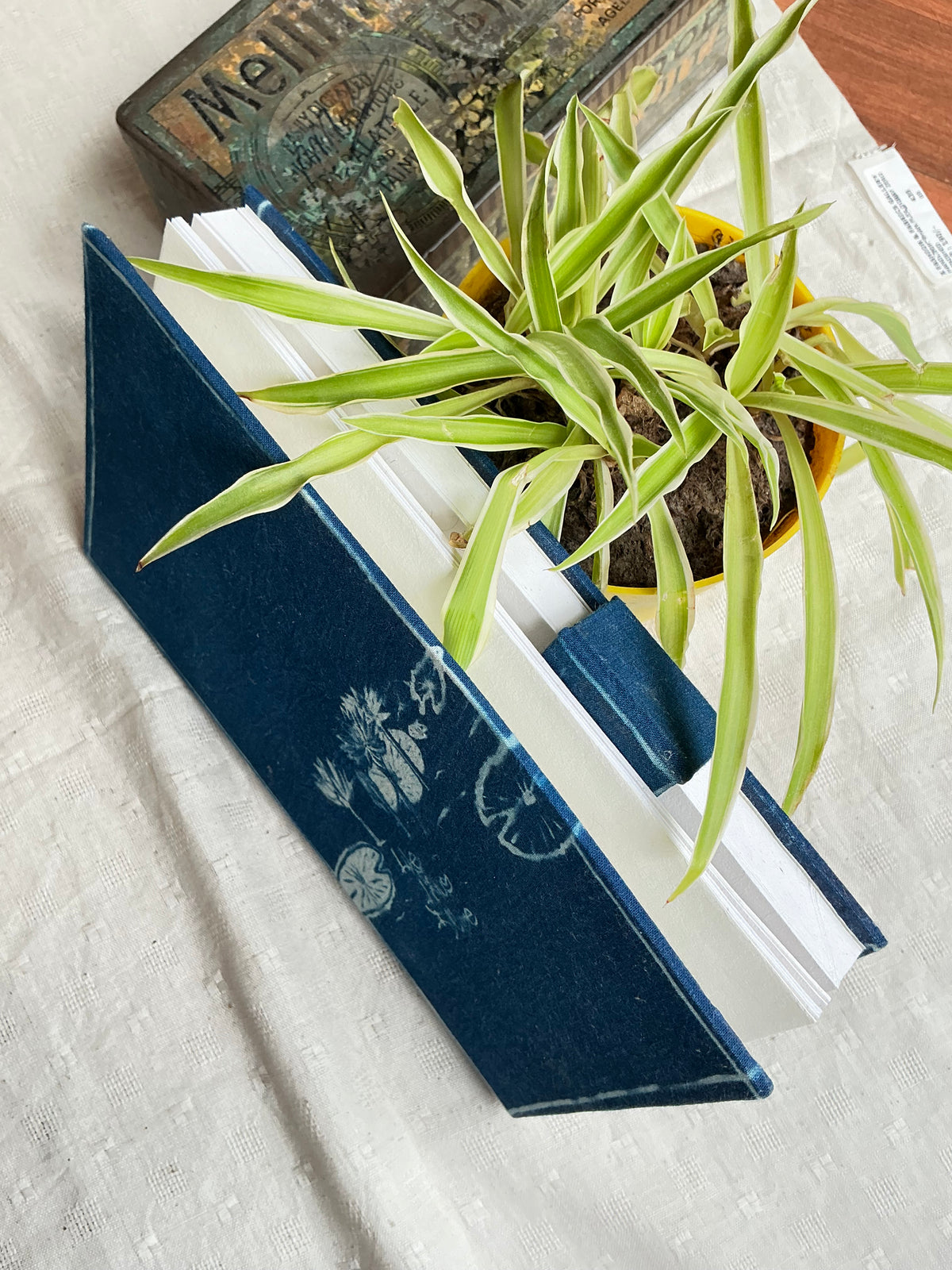 Bloom - Cyanotype Journal