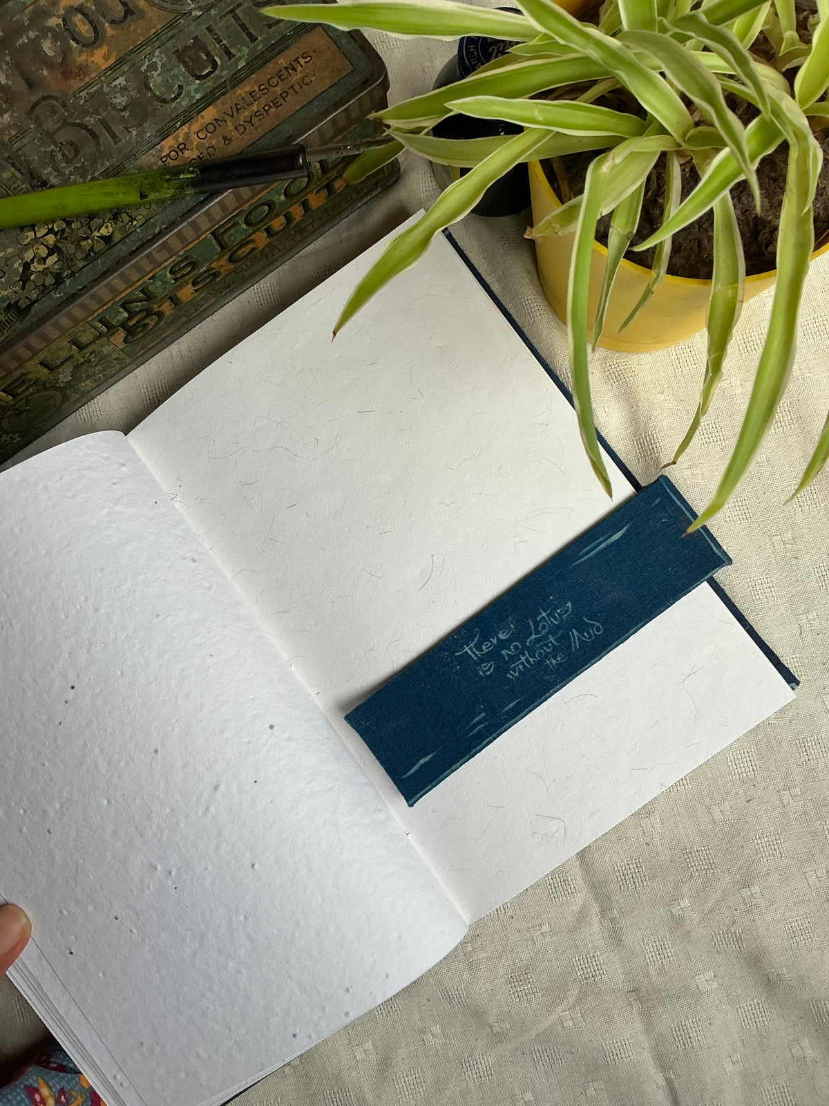 Bloom - Cyanotype Journal