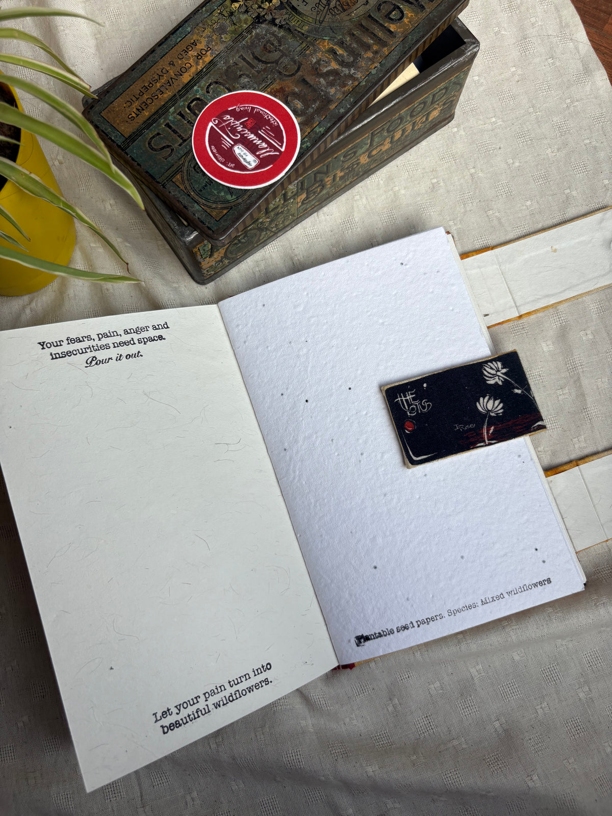 Ebbs and Flows - Journal