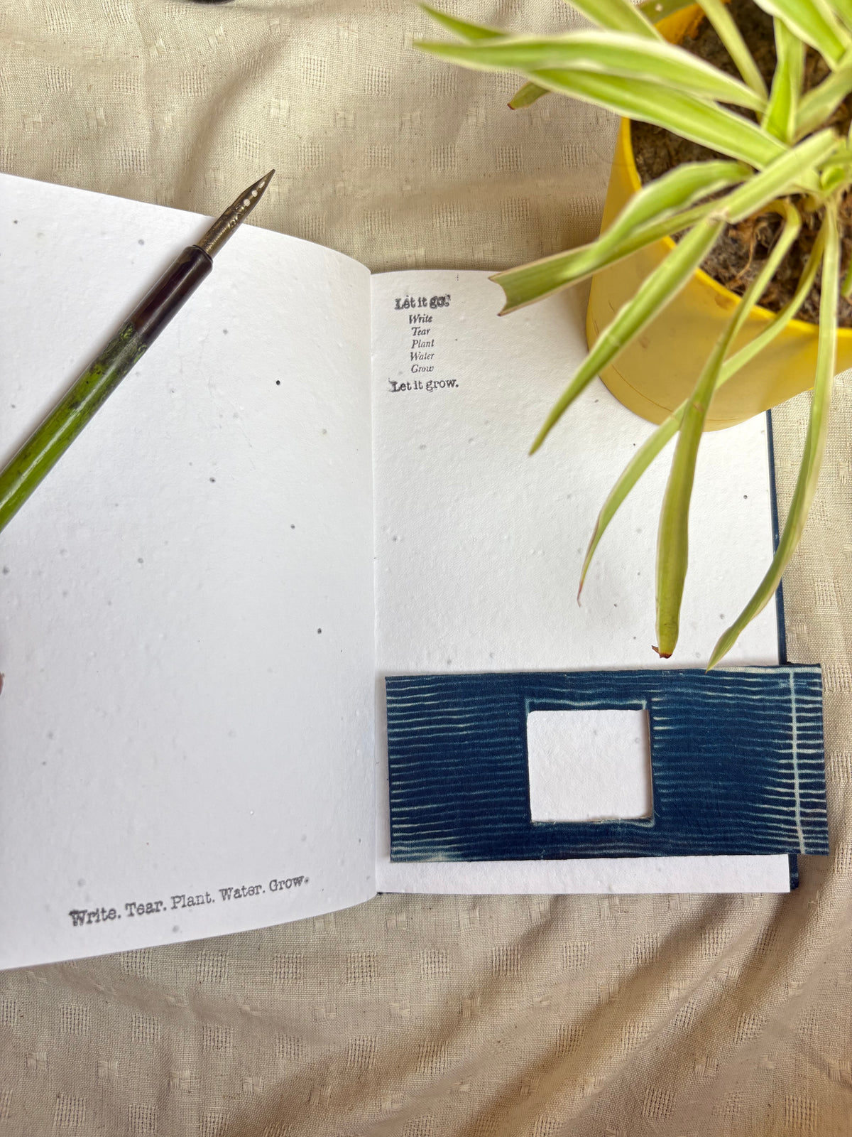 The Phoenix - Cyanotype Journal