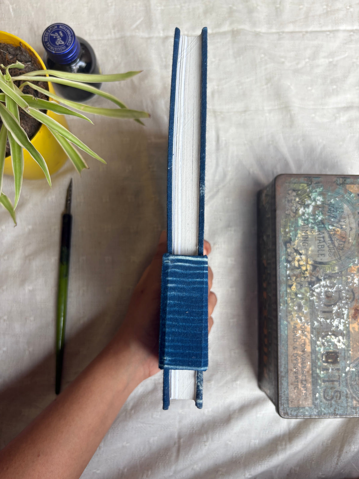 Like the Phoenix I Rise - Cyanotype Journal