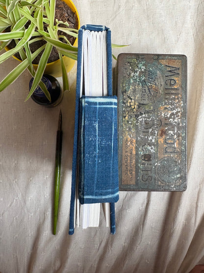 Fibonacci - Cyanotype Journal