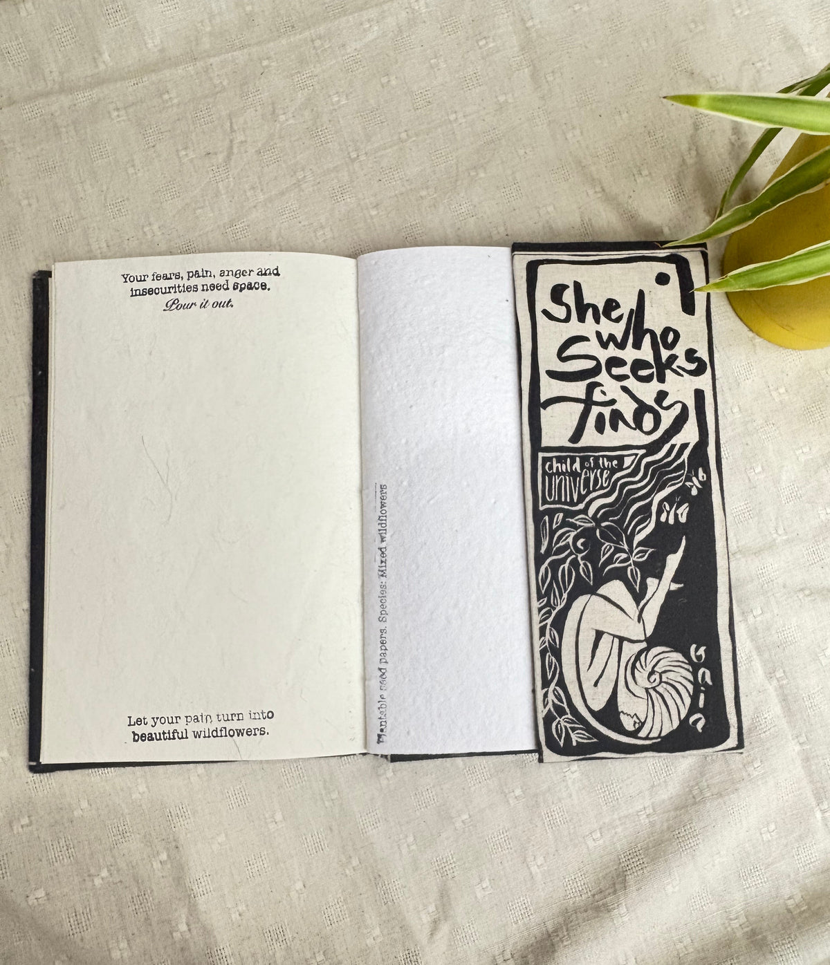 The Seeker - Journal